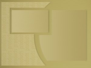 电子设备与宠物互动，智能喂食器深度评测